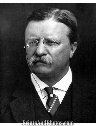 President Teddy Roosevelt  3407