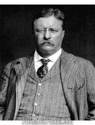 President Teddy Roosevelt  3408