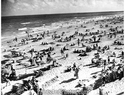 Miami Beach Florida 1950  3502