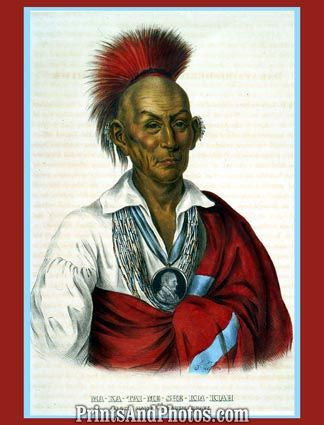 Native American Black Hawk  3613