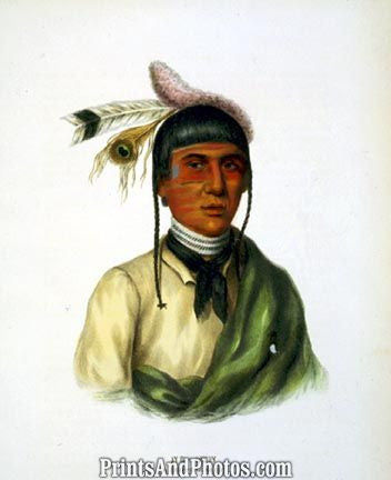 Native American Chippewa Chief No-Tin 3619