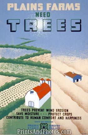 Plains Farms Need Trees Ad 3627