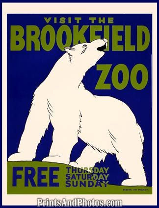 POLAR BEAR Brookfield Zoo Ad 3656