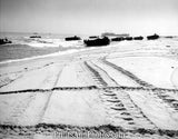 US Marines WWII on Beach  4080