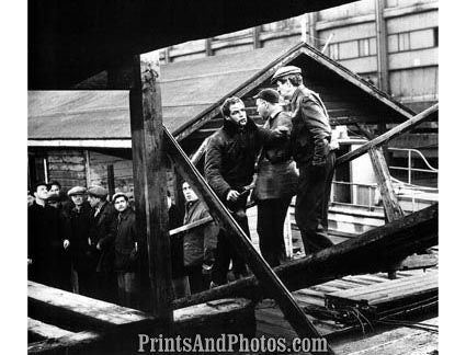 On the Waterfront Marlon Brando  4288