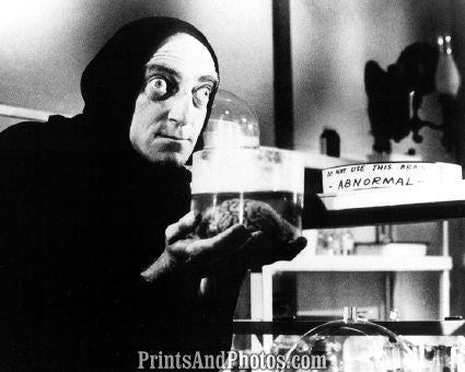 Young Frankenstein Marty Feldman  4346