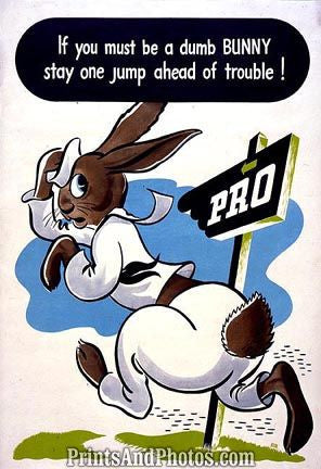 WWII You Must Be a Dumb Bunny  4455