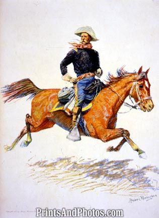 CIVIL WAR Cavalry Officer  4517