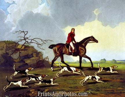 Captain Ricketts Beagles Hunting  4561