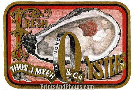 Fresh Oysters Restaurant Ad 4603