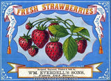 Fresh Strawberries Ad 4604