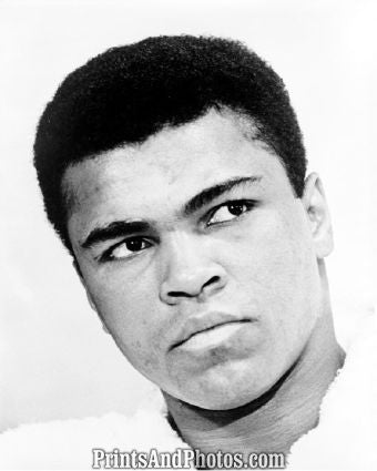 Muhammad Ali Bust Portrait  4904