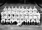 St. Louis Browns 1942 Team  4954