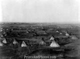 The Great Indian Hostile Camp  4979