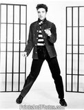 Elvis Jailhouse  5037