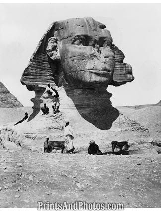 Egypt The Sphynx Pyramids  5225