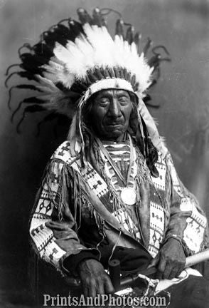 Native Indian Chief Red Cloud  5235