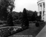 White House Garden  5276