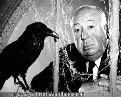 Alfred Hitchcock The Birds  5358
