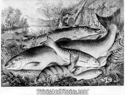 Currier & Ives Game Fish  5440