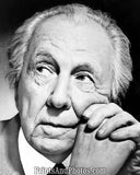 Architect Frank Lloyd Wright  5483