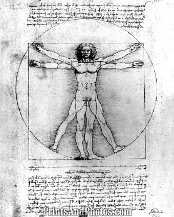 Leonardo da Vinci s Man Print 5641
