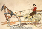 Kentucky Breaking Horse Cart Print 5944