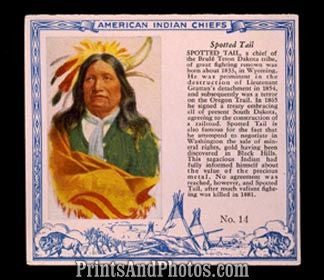Indian Chief Spotted Tail Print 5955