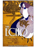 The Echo Chicago Paper Print 6257