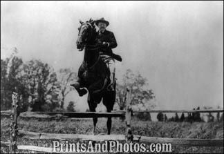 Theodore Roosevelt Horse  6485