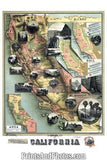 California Birds Eye View 1890s Map 6505