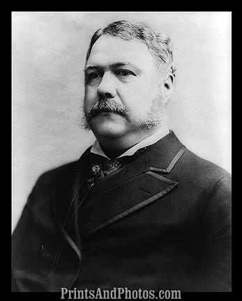 President Chester Arthur  6662