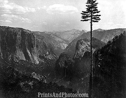 Yosemite Valley  6732