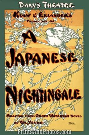 Japanese Nightingale Stage  6867
